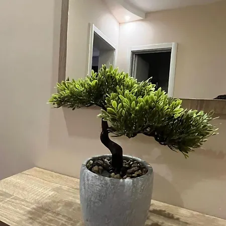 John 2 布拉格埃夫格拉德